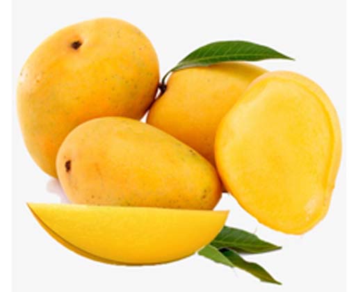 Mango Alponso