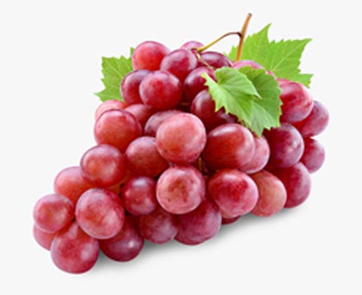 Grapes Red